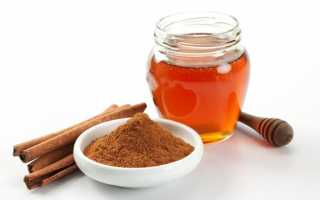 Корица с мёдом для похудения: отзывы и рецепты