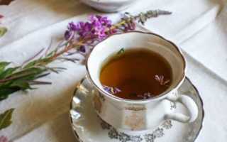 Иван-чай: полезные свойства для мужчин