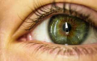 Из чего состоят глаза человека и какие функции выполняют?