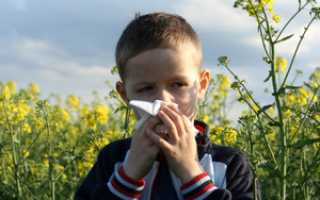 Пробы на аллергены: борьба с аллергией у взрослого и ребёнка