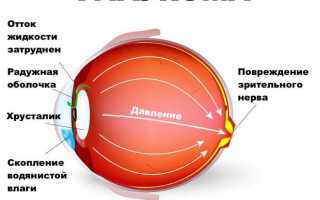 Глазные капли Арутимол — инструкция по применению при лечении глаукомы