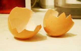 Скорлупа яиц: полезные свойства, рецепт с лимоном