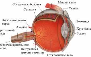 Развитие отёка зрительного нерва — информация, которую важно знать