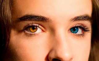 Какой цвет глаз считается самым распространённым