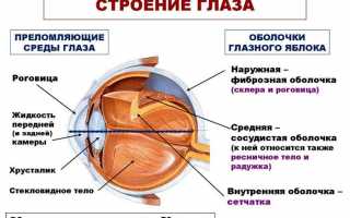 Что такое диоптрии в очках и линзах
