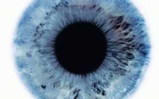 Доппельгерц для глаз — свойства и действие витаминов с лютеином и черникой